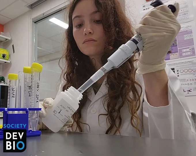 SDB Choose Development! Fellow Sofia Rebull pipetting at the lab bench.