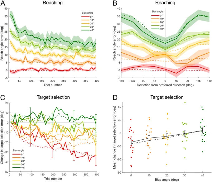 Fig 4. Participants’ reaching and target selection behavior across bias angles.
A: Reach angle error as a function of trial number (in consecutive 10-trial bins). Solid curves show empirical results (mean ± SEM across participants) and dashed curves show model fits. B: Reach angle error as a function of the deviation from the participants’ preferred direction for probe trials. Solid curves show empirical results (45° bins, mean ± SEM across participants) and dashed curves show model fits. C: Change in target selection error as a function of trial number (in consecutive 10-trial bins). Solid curves show empirical results (mean ± SEM; for clarity SEM only shown at the end of each block) and dashed curves show model fits. D: Mean change in target selection error across the experiment. Colored dots show individual participant’s data. Black solid curve shows mean ± SEM across participants. Black dashed curve shows mean of model fits.