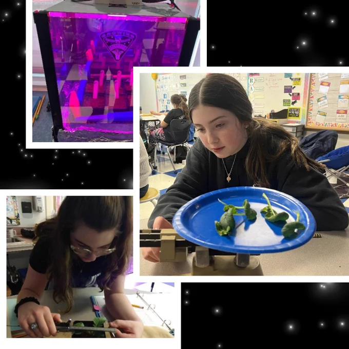 Students at Kendall Elementary working on NASA plant project
