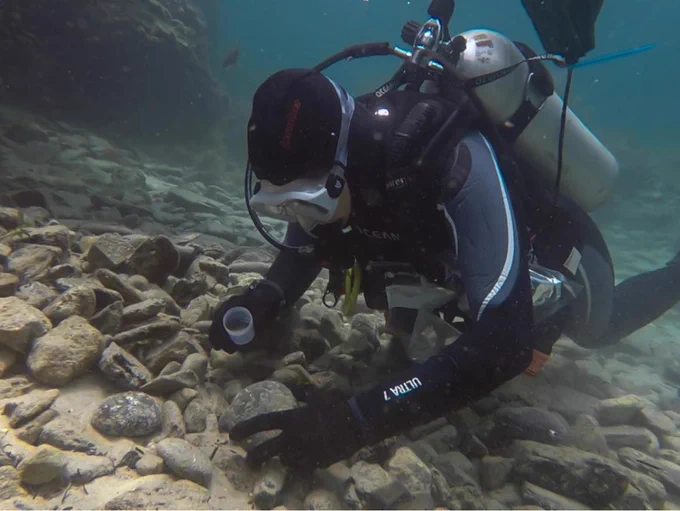 PhD student Lachlan McLeod's entry ‘Embark on a voyage into the world of marine ecology’