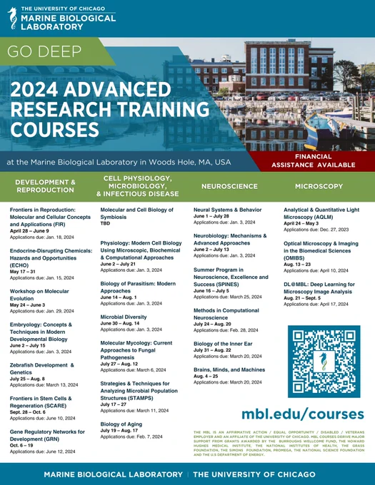 A poster of all of the 2024 Advanced Research Training Courses offered at the Marine Biological Laboratory. Lists course categories, names, course dates, and application deadlines. All information is available at mbl.edu/courses