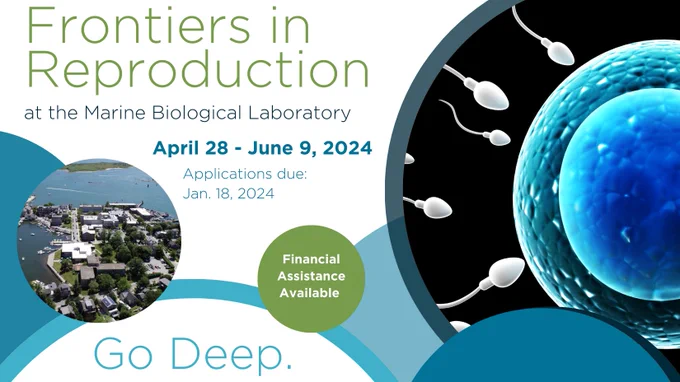 Graphic advertising the 2024 Frontiers in Reproduction course at the Marine Biological
April 28 - June 9, 2024

Applications Deadline: Jan. 18, 2024

go.mbl.edu/FIRbees