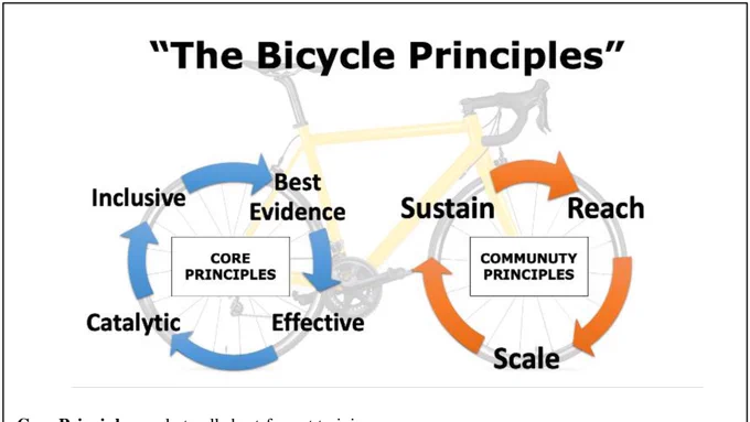 An image from the published article called 'The bicycle principles'. A wheel metaphor is given to the core principles and community principles in training.