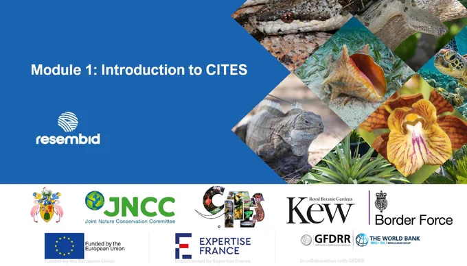 Colour image of the Introduction to CITES workshop slide copyright JNCC