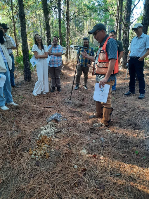 Man talking about a soil profile in a forest 