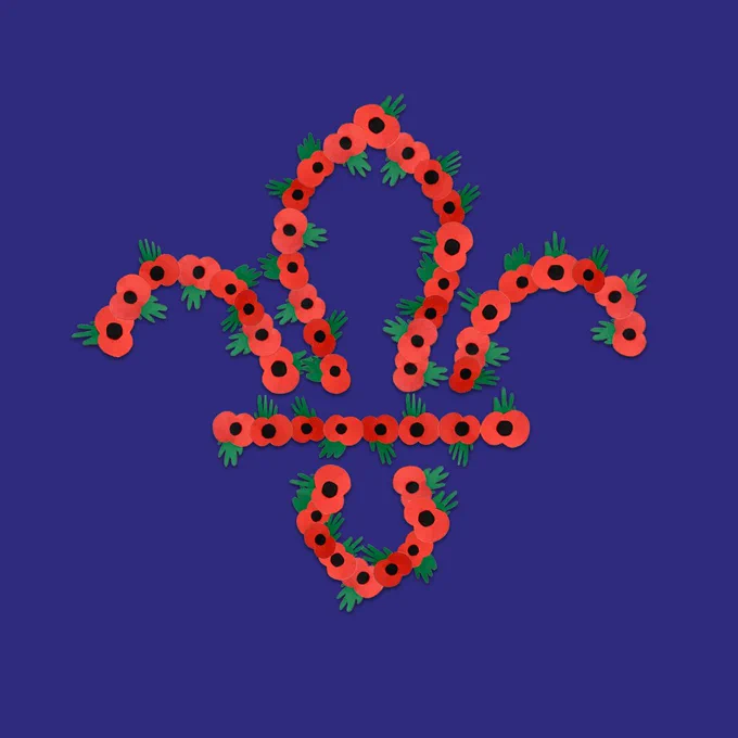 Scouts Fleur-de-lis in poppies