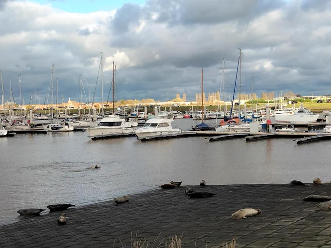 Jachthaven Nieuwpoort en z'n leuke bezoekers
