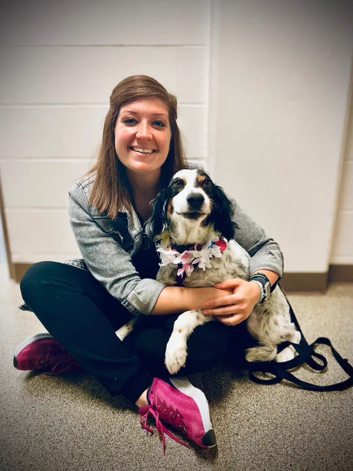 Maggie, an English setter, getting cuddles and love from her Veterinary Nurse, Linley Brewer.