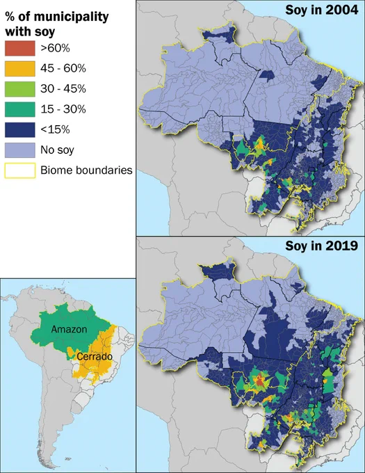 Percent of municipal area planted in soy in 2004 and 2019 across the Amazon and Cerrado.

Color-coded map showing a clear explosion in soy across the country. 
