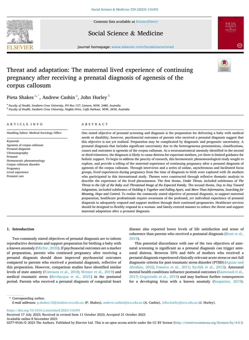 Screenshot of publication abstract. Publication entitled, threat and adaptation: the maternal lived experience of continuing pregnancy after receiving a prenatal diagnosis of agenesis of the corpus callosum 