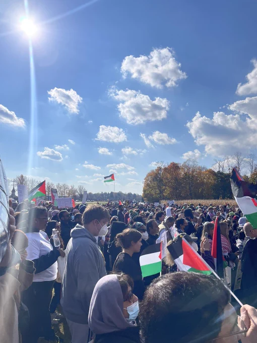 Hundreds rallying for Palestine