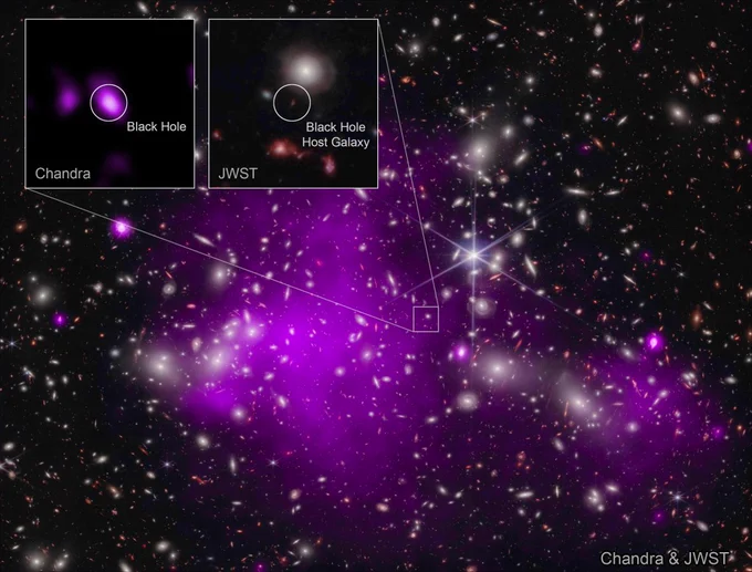 Abell 2744 with data from the JWST and Chandra