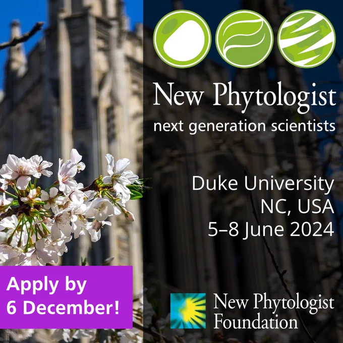 Photograph of cherry blossom in front of the Duke University Chapel in the USA. New Phytologist next generation scientists logo. Duke University, NC, USA, 5–8 June 2024. Apply by 6 December! New Phytologist Foundation logo.