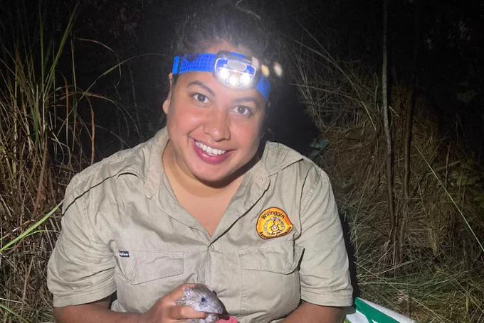 Rachel Treacy holding a golden bandicoot on an overnight trip to survey the species. 