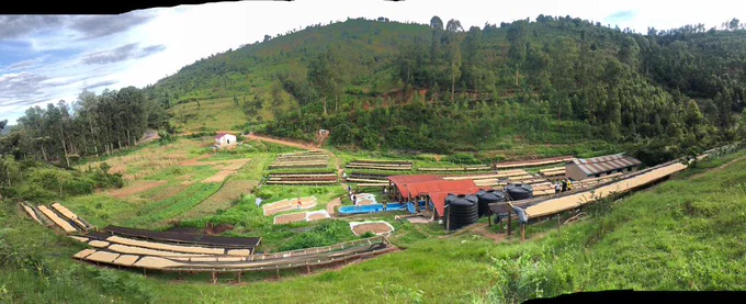 Ngera coffee washing station
