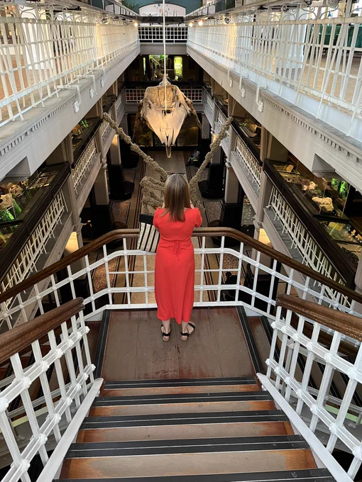 A woman in a red dress is standing on the top floor of Manchester museum’s natural science gallery, taking a photo.