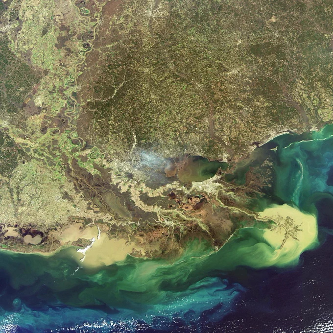 Mississippi River Delta emptying sediment into the Gulf of Mexico. Envisat image acquired on 6 February 2007, Medium Resolution Imaging Spectrometer (MERIS) instrument. Image taken from ESA Image Gallery. ESA, CC BY-SA 3.0 IGO
