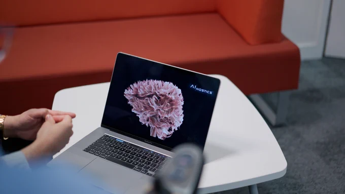 AINOSTICS software on a laptop.