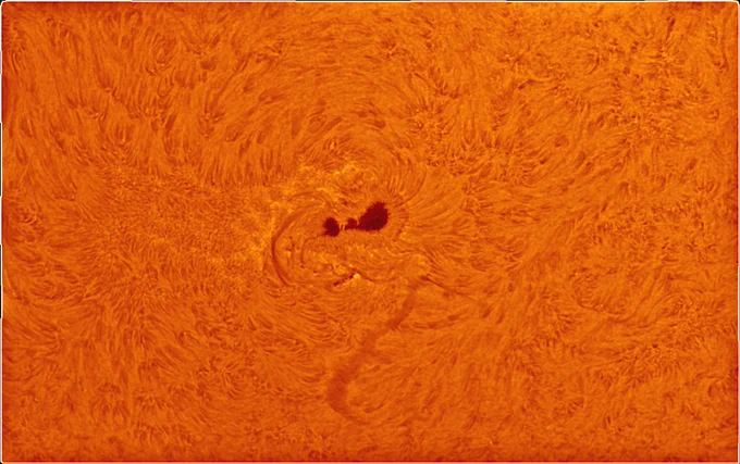 A picture of a large sunspot and lines around it showing cooler material.  The sunspot is in two parts with the right-hand side part being bigger.
