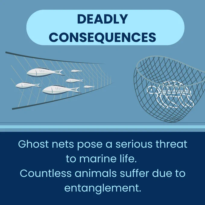 Ghost nets pose a serious threat to marine life. Countless animals suffer due to entanglement. 