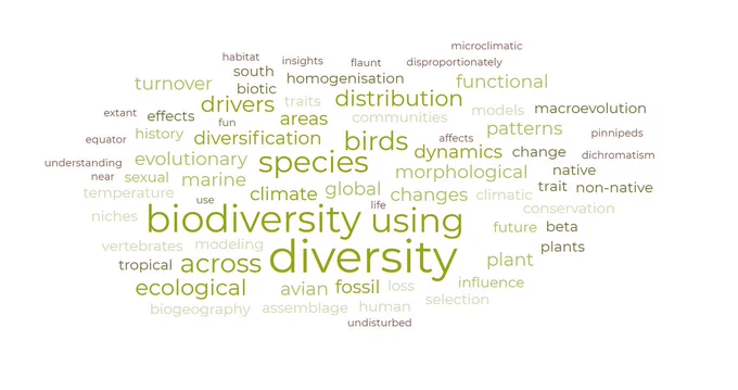 A word cloud made from all the titles in the macroecology conference this year. big words include biodiversity, diversity, species, birds, distribution, ecological, climate, fossil, drivers.