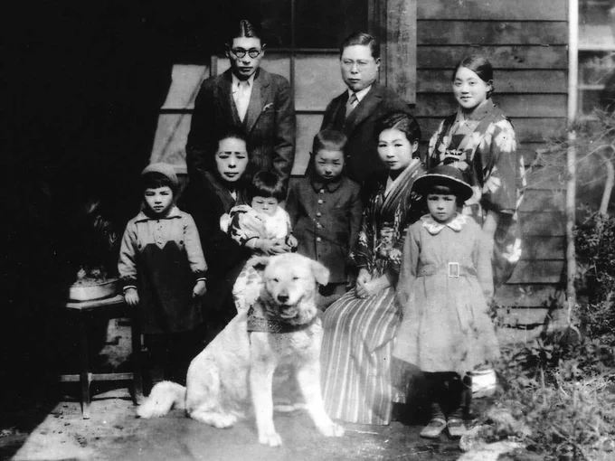 hachi the akita poses for a family portrait with the Ueno family in Japan. he looks younger here, and he’s smiling so broadly. he appears to have a little bandana around his neck. one ear is flopped down, and the other is a little upright.