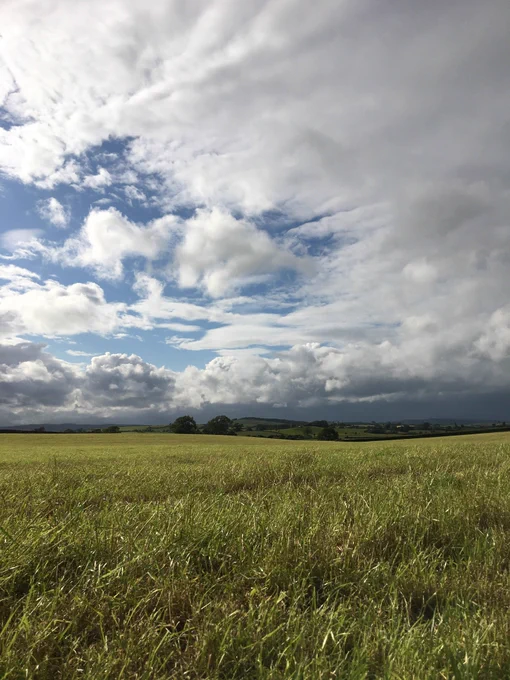 Open fields with hills in the distance. Fluffy clouds and blue skies.