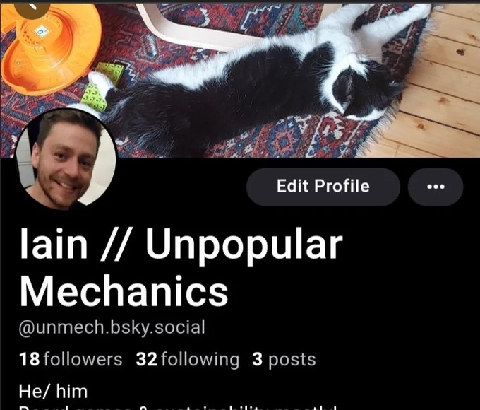 A screenshot of my profile on the blue sky website: @unmech