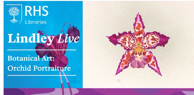 A poster for 'Lindley Live - Botanical Art: Orchid Portraiture' with a painting of a pink, red and yellow orchid flower