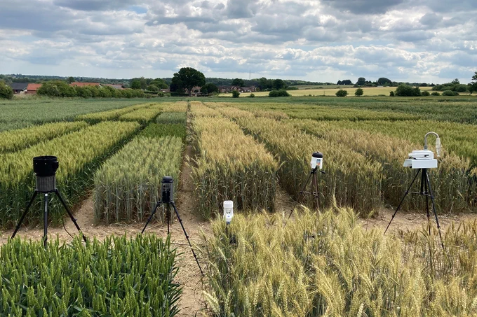 Image of early air-seq technology systems set up in a large field of wheat trials