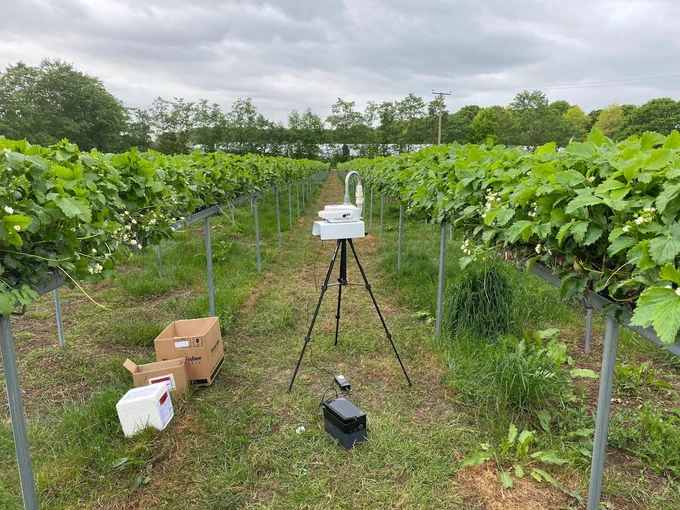 Air-seq technology deployed among a crop of strawberries