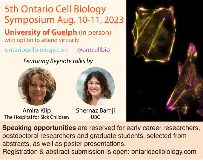 The 5th Ontario Cell Biology Symposium will be held on Aug. 10-11 at the University of Guelph (in person), with an option to attend virtually. More information at ontariocellbiology.com. This event will feature keynote talks by Amira Klip (The Hospital for Sick Children) and Shernaz Bamji (UBC). Speaking opportunities are reserved for early career researchers, postdoctoral researchers and graduate students, selected from abstracts, as well as poster presentations. Registration and abstract submission is open at ontariocellbiology.com.