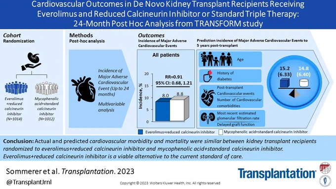Visual Abstract for the article entitled Cardiovascular Outcomes in De Novo Kidney Transplant Recipients Receiving Everolimus and Reduced Calcineurin Inhibitor or Standard Triple Therapy: 24-month Post Hoc Analysis From TRANSFORM Study