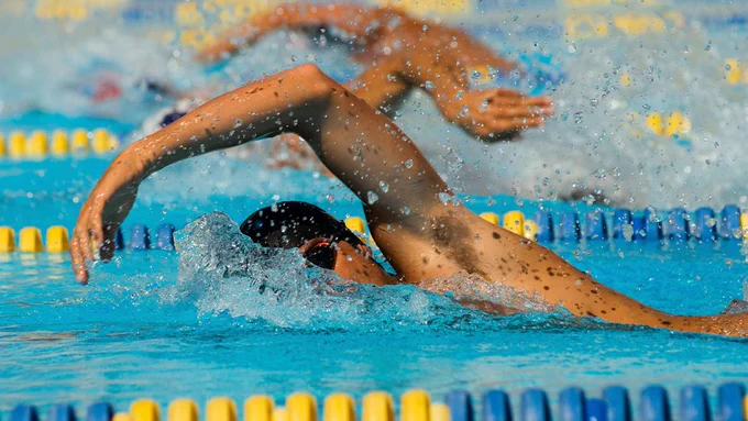 Swimmers swimming in a lap pool.