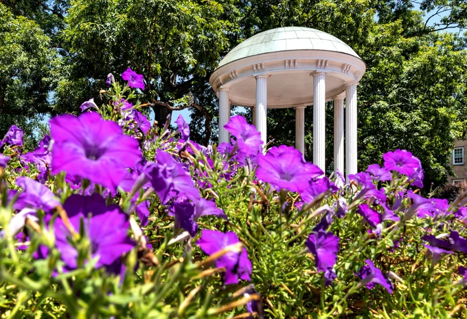 The Old Well on the campus of UNC Chapel Hill surrounded by purple flowers and greenery.
