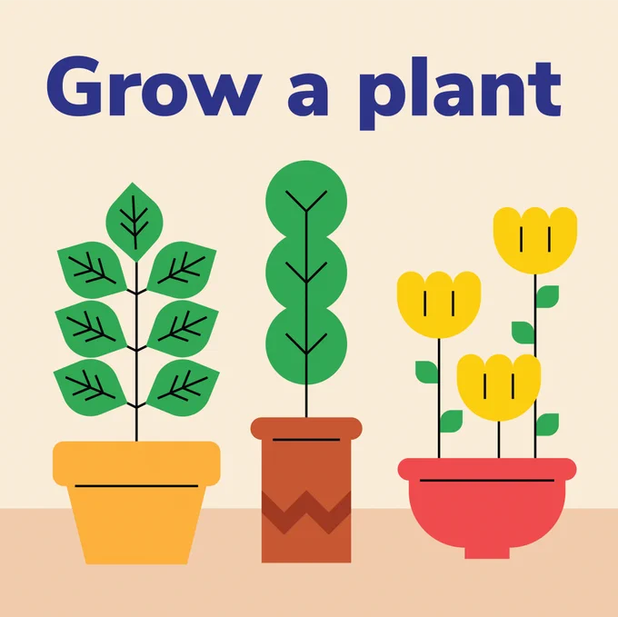 Grow a plant