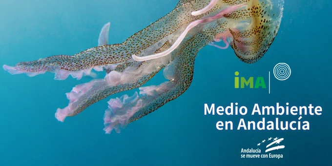 Portada del Informe de Medio Ambiente en Andalucía. Edición 2022