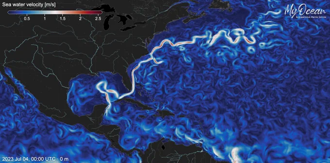 Visualisation of sea water velocity in the Gulf Stream on My Ocean Viewer on 4 July