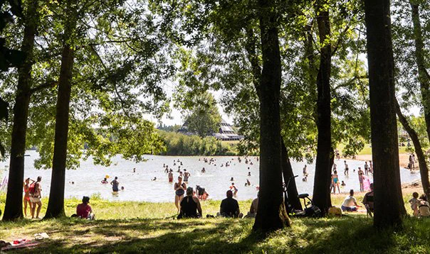 La baignade du lac de Maine. (Photo: Thierry Bonnet/Ville d'Angers) 