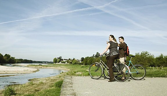 Petite balade ou randonnée à la journée, les promeneurs auront de nombreuses possibilités de découvrir les richesses de notre territoire : bords de Loire, patrimoine historique, diversité de parcs et jardins...