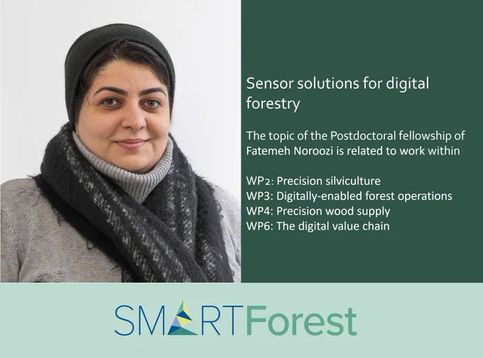 Fatemeh takes part in machine learning and image recognition tasks within SmartForest. One of her work areas is the development of learning-based systems for the automated recognition of branches in different seasons. Applications can be for example damage registrations after a windfall or snow break.