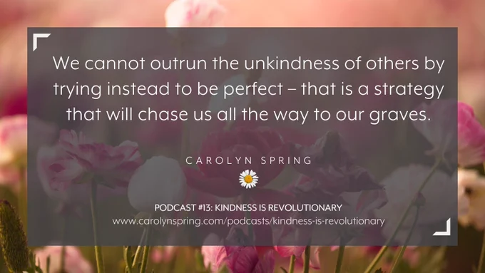 “We cannot outrun the unkindness of others by trying instead to be perfect – that is a strategy that will chase us all the way to our graves.”