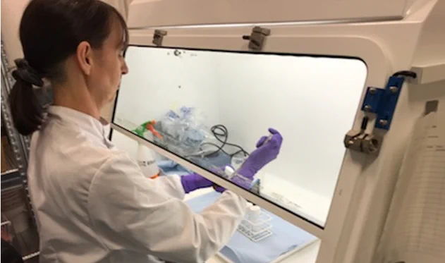 Scientist working at HSE's CL3 facility