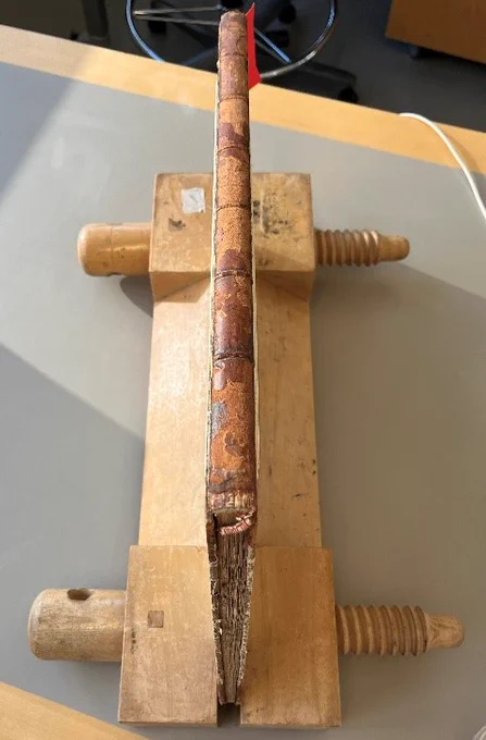 Volume 118.e.5 in a wooden book press, with boards protected by just visible mount board on either side, sits atop a studio bench. The spine is upright with the tail-edge in the fore ground so that the endband is visible. The endband is partially detached and hanging by a thread.
