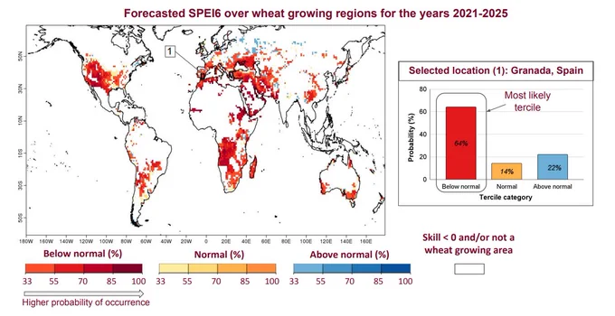 Global map with a highlight over Granada in Spain. The map shows decadal predictions of multi-year averaged SPEI6 for 2021-2025. SPEI6 is an estimate of climate water balance accumulated over the six-month period prior to the wheat harvesting month.

This global map provides information on the most likely tercile category for multi-year averaged SPEI6 for the years 2021-2025 and its probability of occurrence (shown as %).  For instance, the most likely category for the selected area (Granada, Spain) is the below normal category with a 64% likelihood of occurrence and hence the chosen area is presented in red on the global map. Darker shades of red, yellow and blue correspond to a higher probability of the event falling into the below normal, normal and above normal category of SPEI6, respectively.