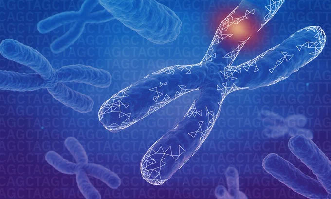 Chromosomes 
