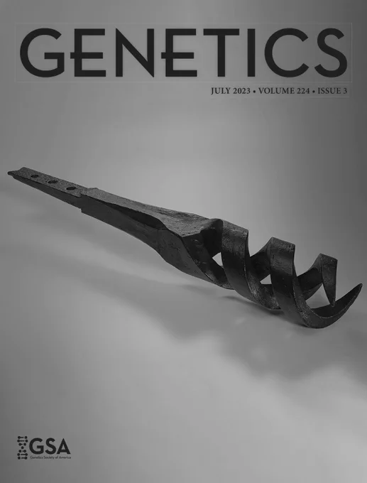 The July GENETICS cover image of a double-helix drill bit forged in 1820 by enslaved blacksmith Solomon Williams accompanies a study from J.A. Mooney et al. on the genetic and genealogical history of African Americans from the 17th century to the 1960s. The artifact is on loan from the National Park Service, Cane River Creole National Historical Park; photo courtesy of Smithsonian National Museum of African American History and Culture. 