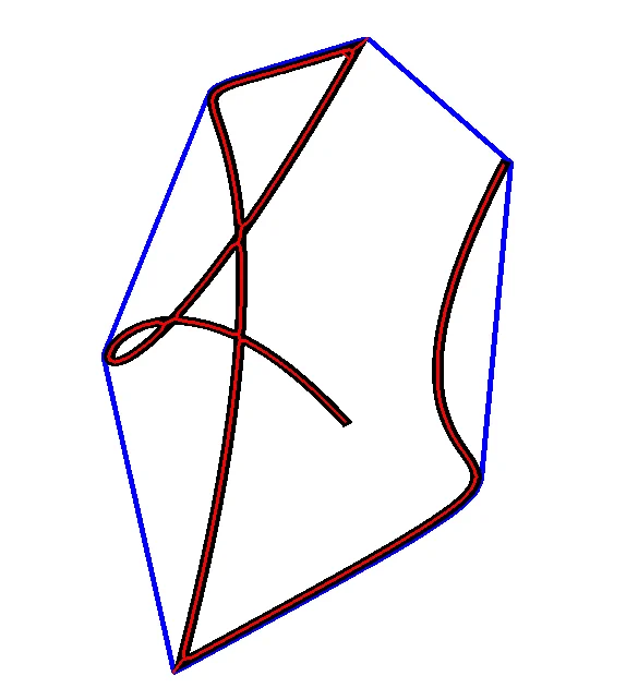 Output image from RhizoVision using original image from quoted tweet. Original image shows a squiggly thick black line. The output image shows that line with a red medial axis and a blue convex hull around the outside.