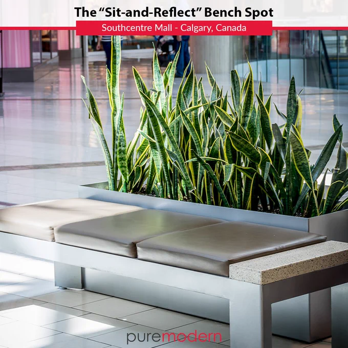 A Bench Spot in a Mall Backed by Large Commercial Planter | PureModern