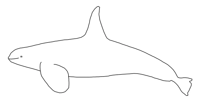 An outline of an orca